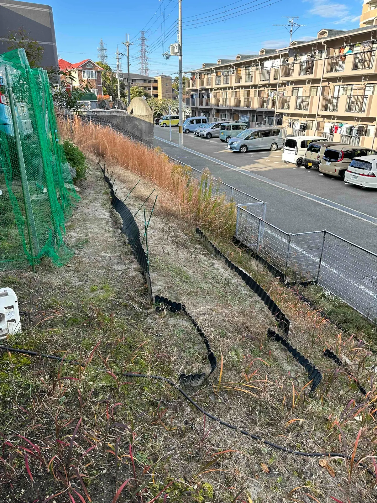 吹田市　草刈り　マンション